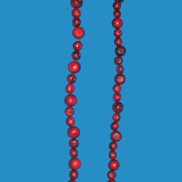 Item 103386 6 Foot Red Apple/Berry Garland