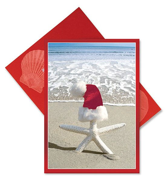 Item 108047 White Starfish With Santa Hat Christmas Cards