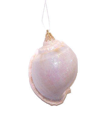Item 220005 Snail-like Shell Ornament