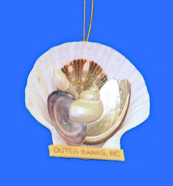 Item 220080 Outer Banks Irish Scallop With Shells Ornament