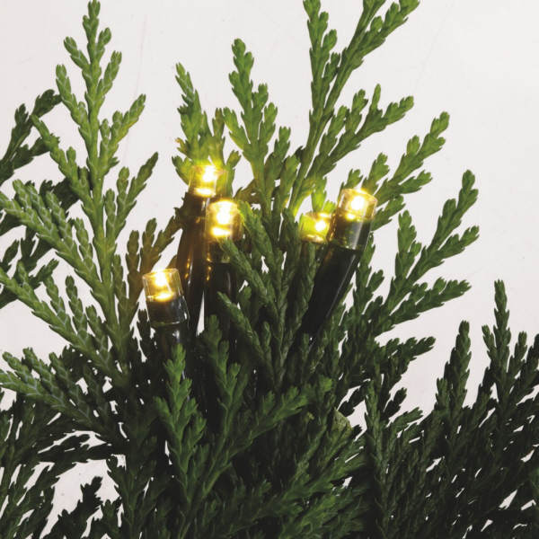Item 260733 Set of 24 Christmas Tree Lights With Green Wire & Warm White Bulbs