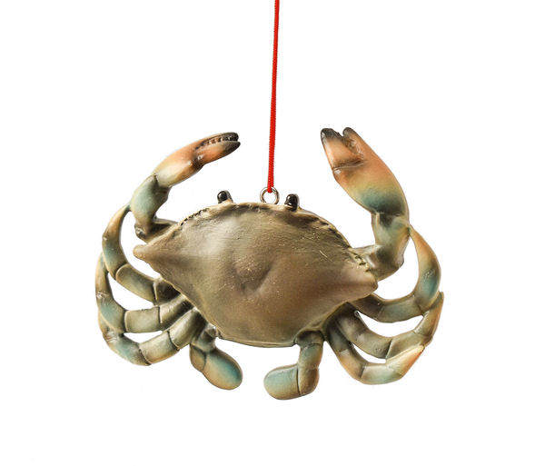 Item 262363 Blue Crab Ornament