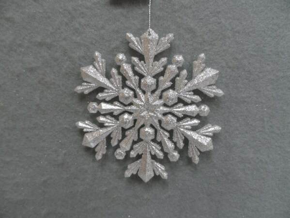 Item 303044 Champagne Silver Snowflake Ornament