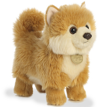 Item 451090 Medium Pomeranian Puppy Miyoni