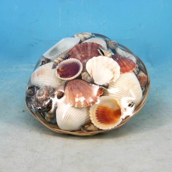 Item 519073 Basket of Seashells