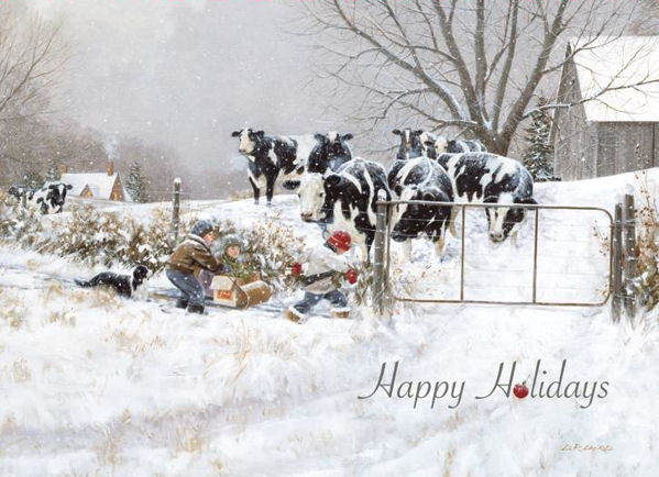 Item 552036 Wintry Cows With Kid Christmas Cards