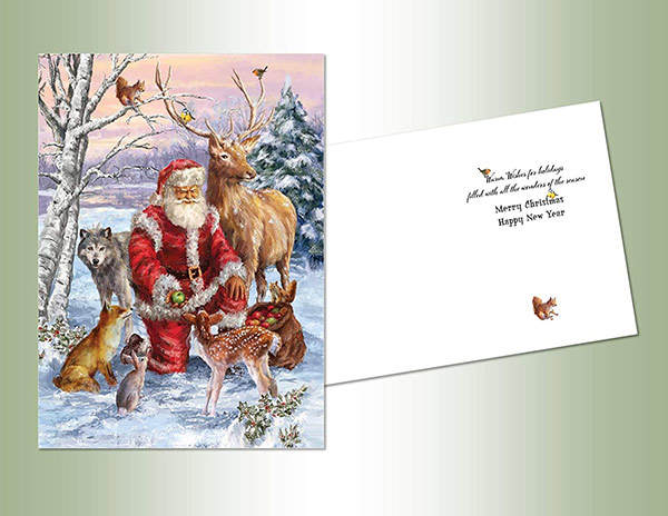Item 552062 Woodland Santa Deluxe Christmas Cards