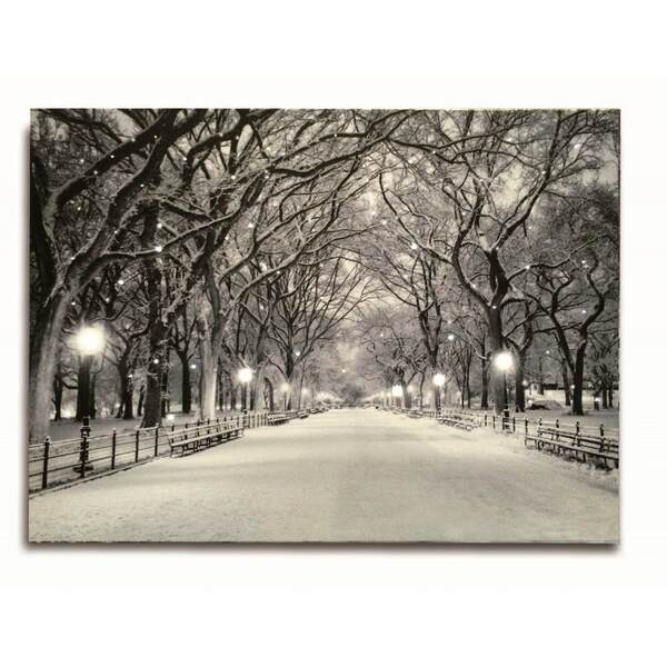 Item 558121 LED Snowy Path Canvas Print