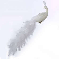 Thumbnail White Peacock With Feathery Tail Clip-On Ornament