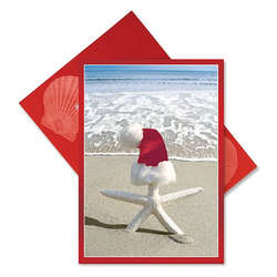 Thumbnail White Starfish With Santa Hat Christmas Cards