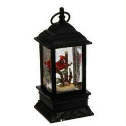 Item 281316 Black LED Lighted Cardinal Water Lantern