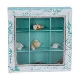Item 294157 Collecting Shells Display Box