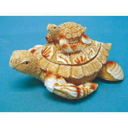 Item 294429 Sand/Shell Turtle With Baby Turtle Box