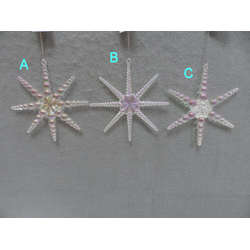Item 303071 Multicolor/Clear Star Ornament