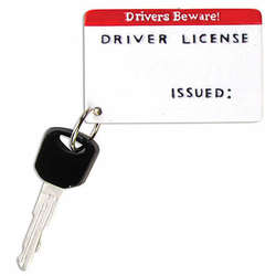 Item 459096 Driver's License With Key Ornament