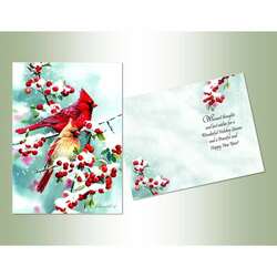 Thumbnail Winter Thoughts Cardinal Christmas Cards