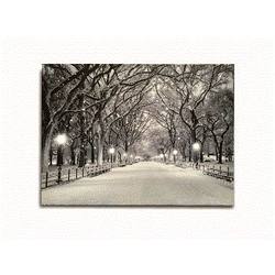 Thumbnail LED Snowy Path Canvas Print