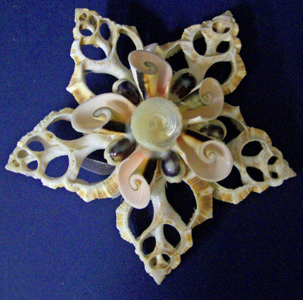 Item 115031 Cut Shell Star Shaped Ornament