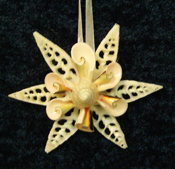 Item 115043 Snowflake White Slices Strombus Ornament
