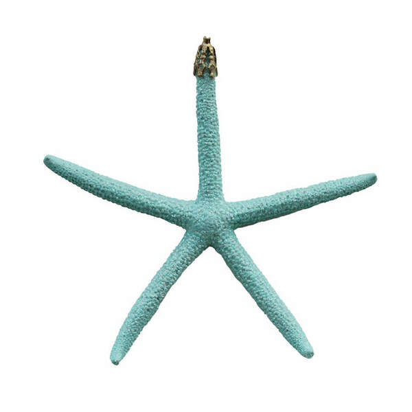 Item 220006 Aqua Starfish Ornament