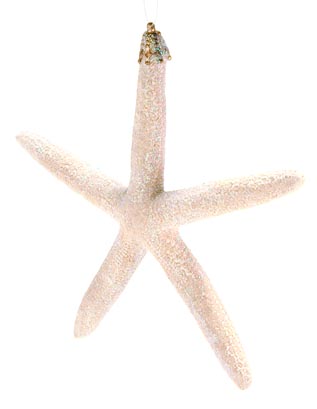 Item 220010 Beige Starfish Ornament