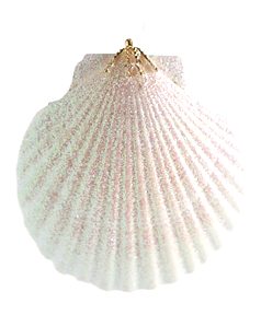 Item 220013 White Pecten Shell Ornament