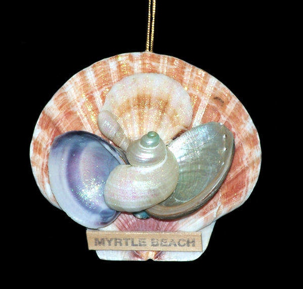 Item 220015 Myrtle Beach Brown Pectin With Shells Ornament
