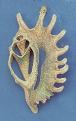 Item 220025 Cut Millipede Conch Shell Ornament
