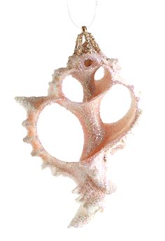 Item 220032 Sliced Pink Murex Shell Ornament