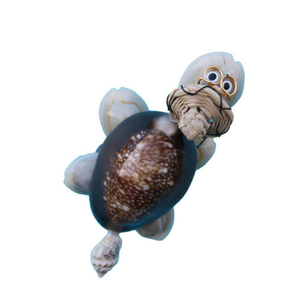Item 220061 Turtle With Brown Hat Magnet