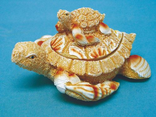 Item 294429 Sand/Shell Turtle With Baby Turtle Box