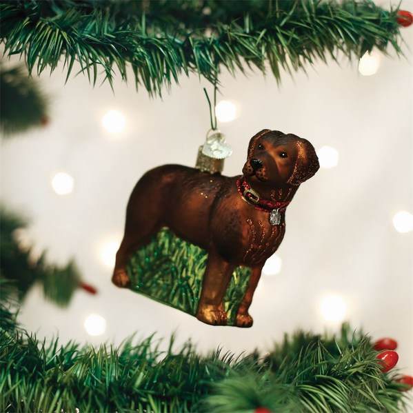 Item 425199 Chocolate Labrador Retriever With Grass Ornament