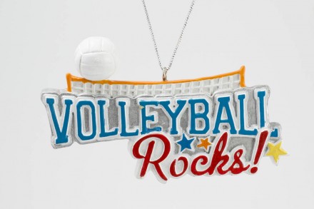 Item 483884 Volleyball Rocks Ornament