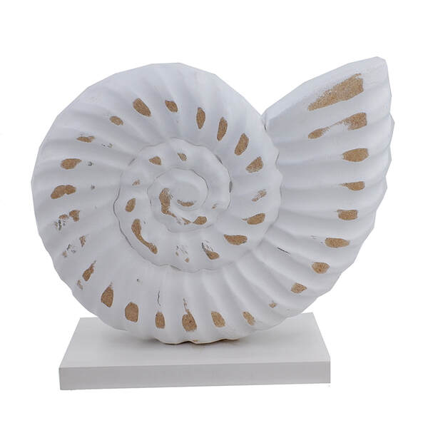Item 519187 Table Top White Wash Snail Shell