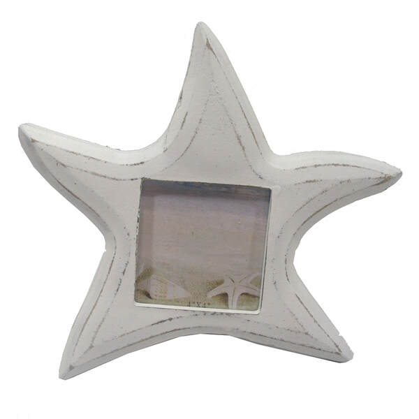 Item 519562 Starfish Frame