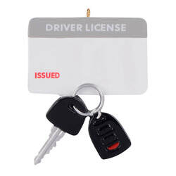 Item 525073 Drivers License
