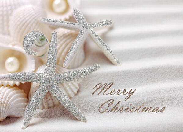 Item 552156 Shells and Pearls Christmas Cards