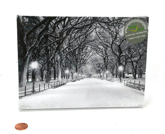 Item 558119 LED Snowy Lane Tabletop Canvas Print