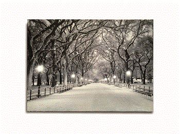 Item 558121 LED Snowy Path Canvas Print