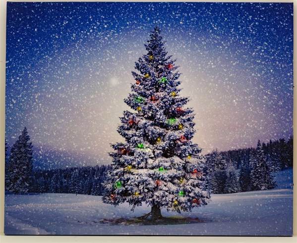 Item 558194 Small LED Christmas Tree At Night Lighted Canvas Print