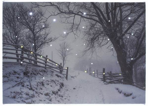 Item 558286 Snowy Forest Walkway Canvas Print