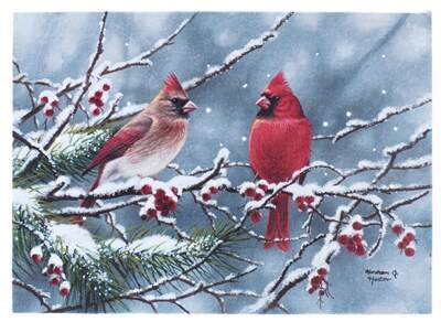 Item 558500 Tabletop Cardinal On Branch Lighted Canvas