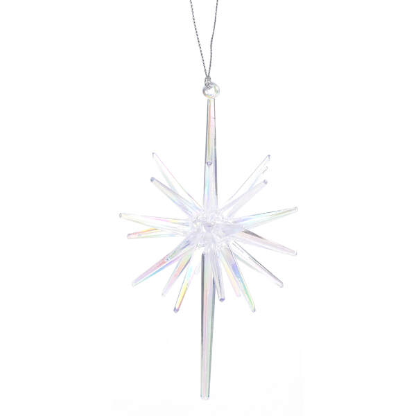 Item 812063 Iridescent Star Ornament