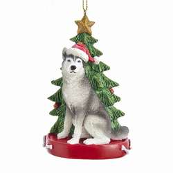 Item 100496 Siberian Husky Dog With Tree Ornament