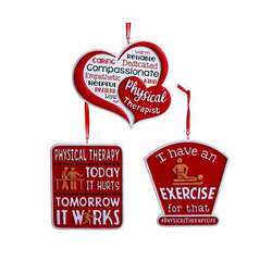 Item 106248 Physical Therapy Ornament
