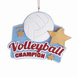 Item 106955 Volleyball Ornament