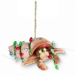Item 108769 Hermit Crab Ornament - Outer Banks