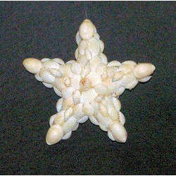 Item 115003 Shell Star Ornament