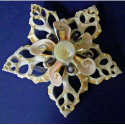 Item 115031 Cut Shell Star Shaped Ornament
