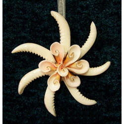 Item 115032 Cowry Luhanas Blossom Ornament